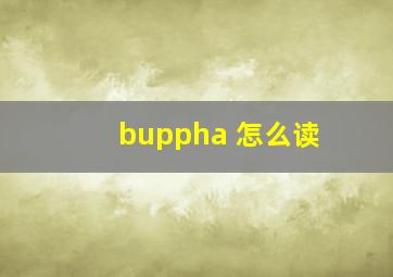 buppha 怎么读